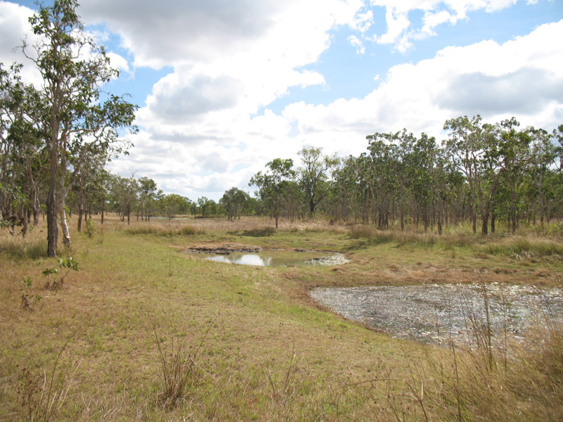 Lakefield National Park - Walkabout